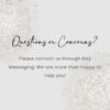 June booking flyer June Diy flyer canva templates - Image 7