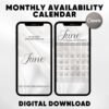 Monthly Availability Calendar Instagram Story Instagram Story Schedule - Image 2